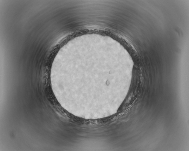 X0000110970968200907310926