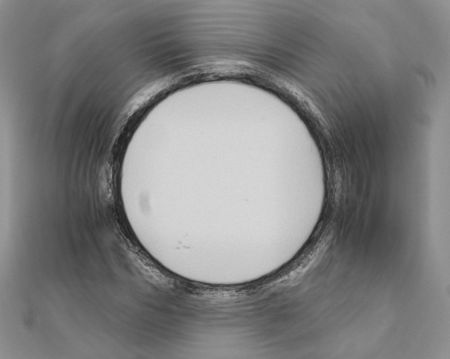 X0000110970970200907310926