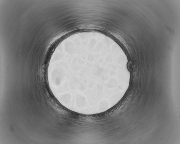 X0000110970971200907310926
