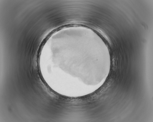 X0000110970972200907310926
