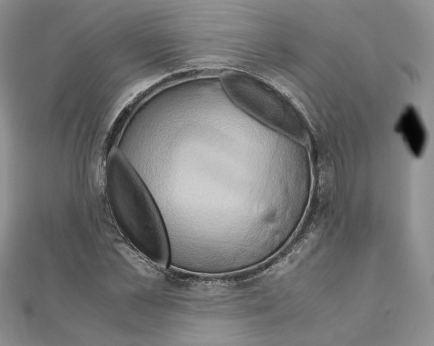 X0000110970973200907310926