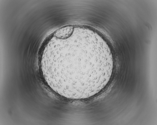 X0000110970974200907310926