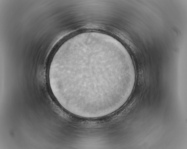 X0000110970976200907310926