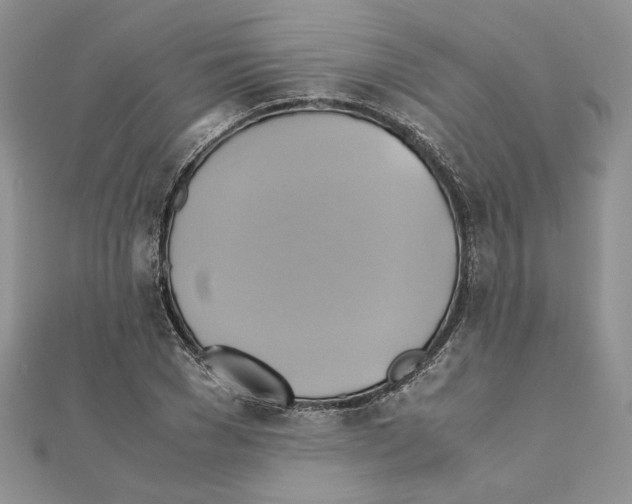 X0000110970977200907310926