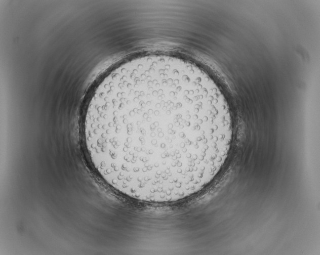 X0000110970978200907310926