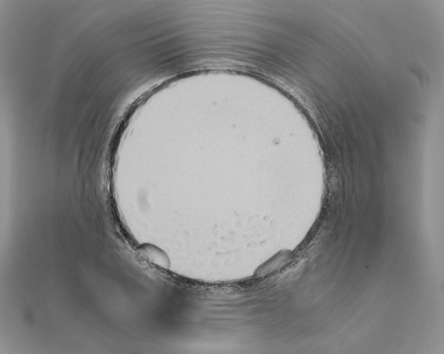 X0000110970979200907310926
