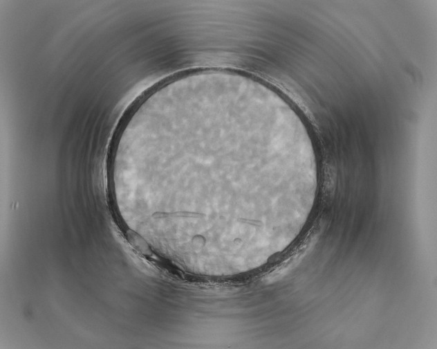 X0000110970980200907310926