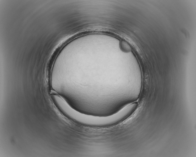 X0000110970981200907310926
