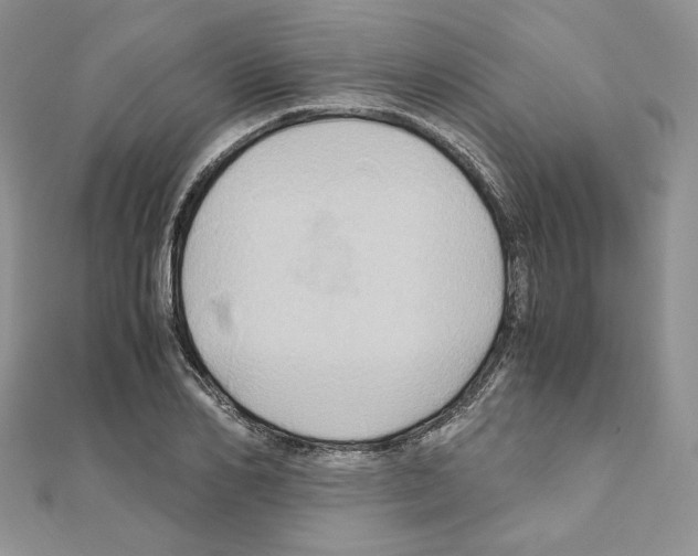 X0000110970982200907310926