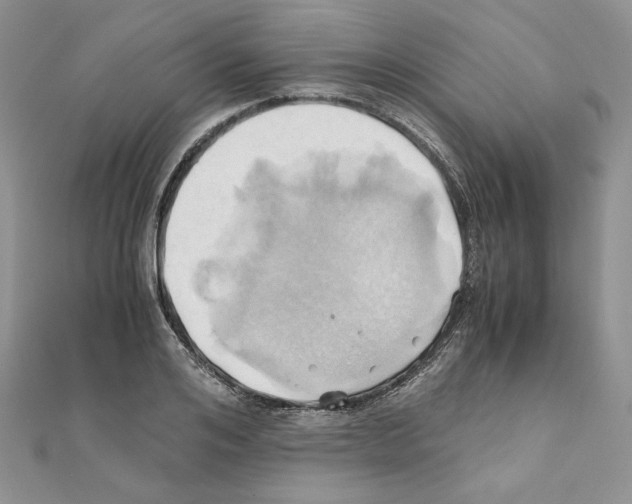 X0000110970984200907310926