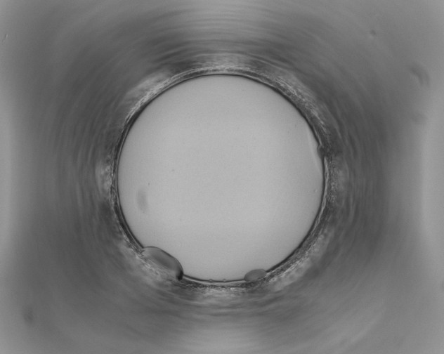 X0000110970985200907310926