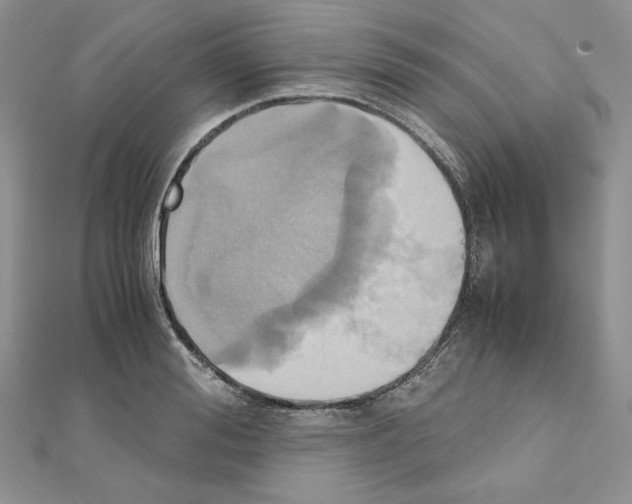 X0000110970988200907310925