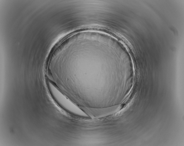 X0000110970989200907310925