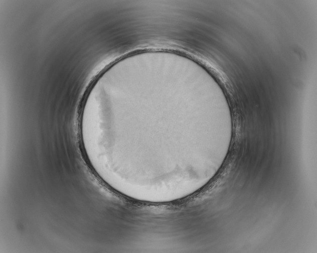 X0000110970990200907310925