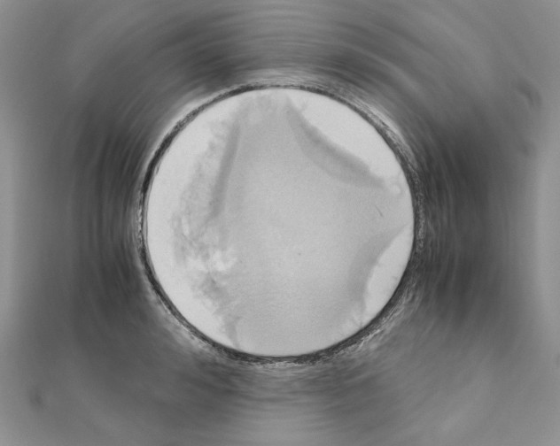 X0000110970992200907310925