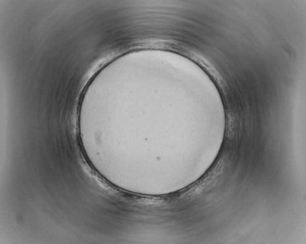 X0000110970994200907310925