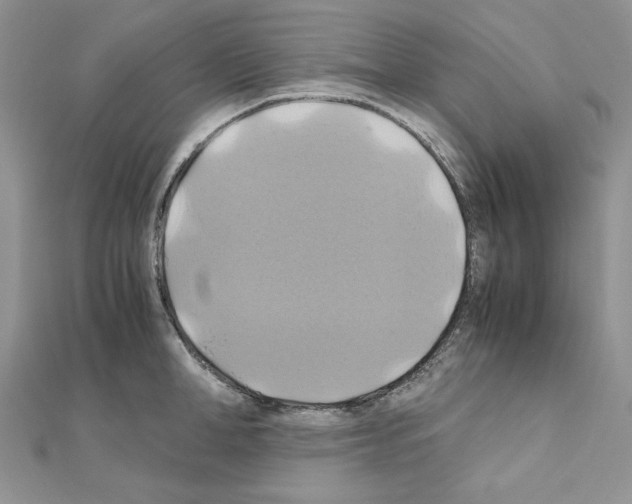 X0000110970998200907310925