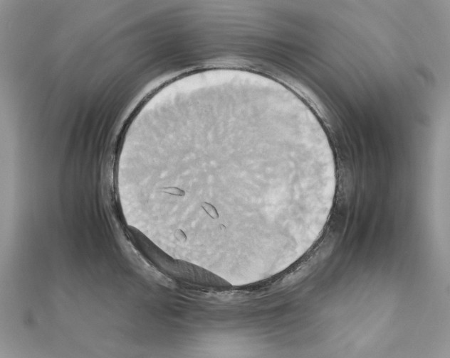 X0000110971000200907310925