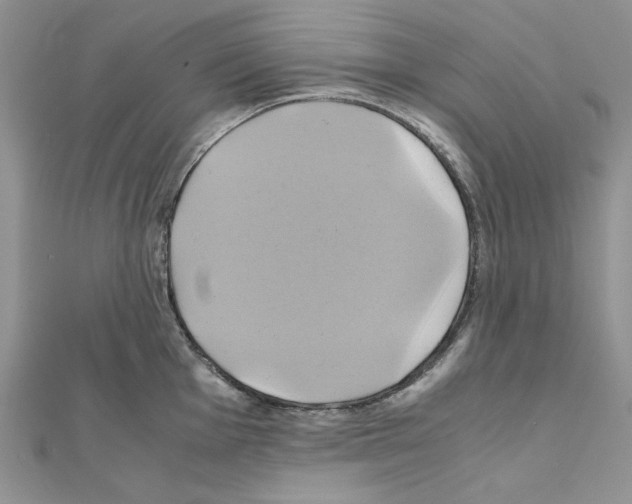 X0000110971001200907310925