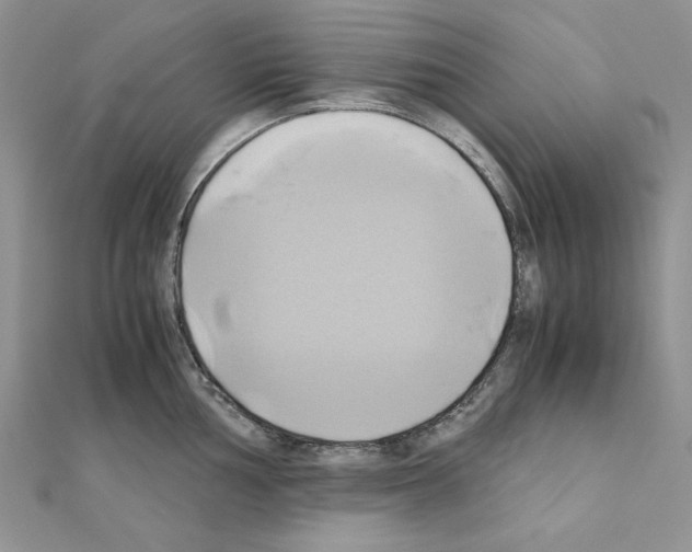 X0000110971002200907310925