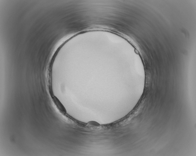 X0000110971003200907310925