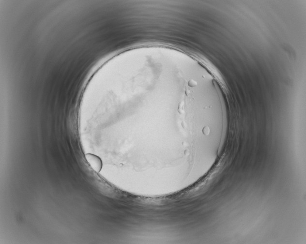 X0000110971004200907310925