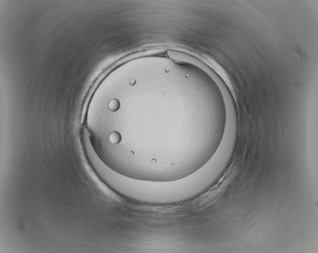 X0000110971005200907310925
