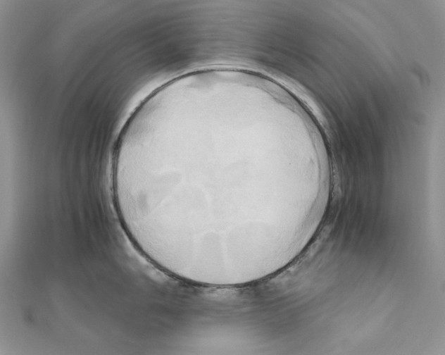 X0000110971006200907310925
