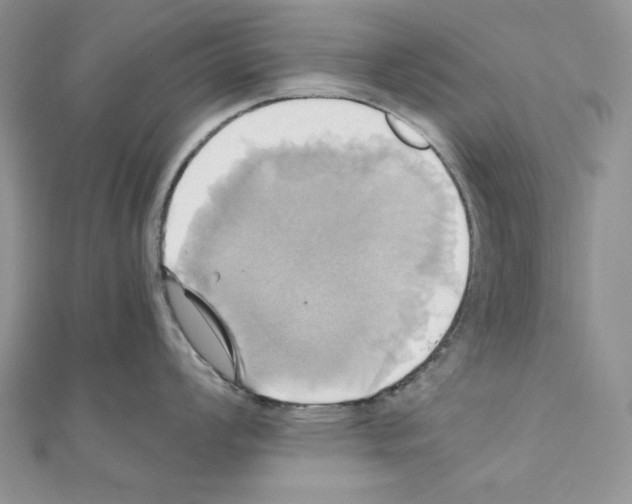 X0000110971008200907310925