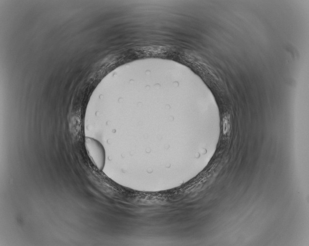 X0000110971011200907310925