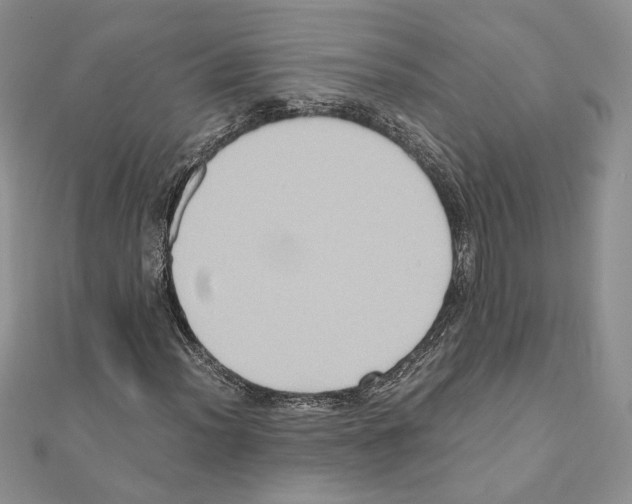 X0000110971012200907310925