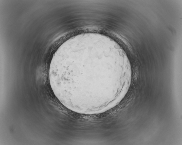 X0000110971015200907310925