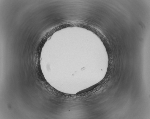 X0000110971016200907310925