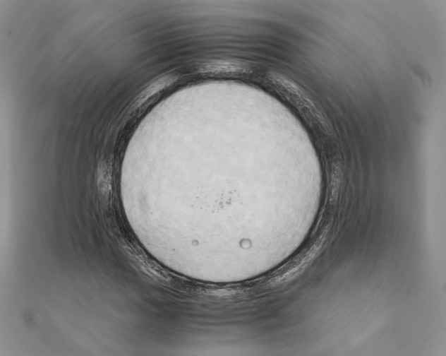 X0000110971017200907310925