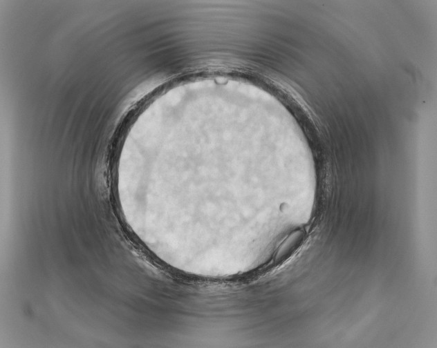 X0000110971018200907310925