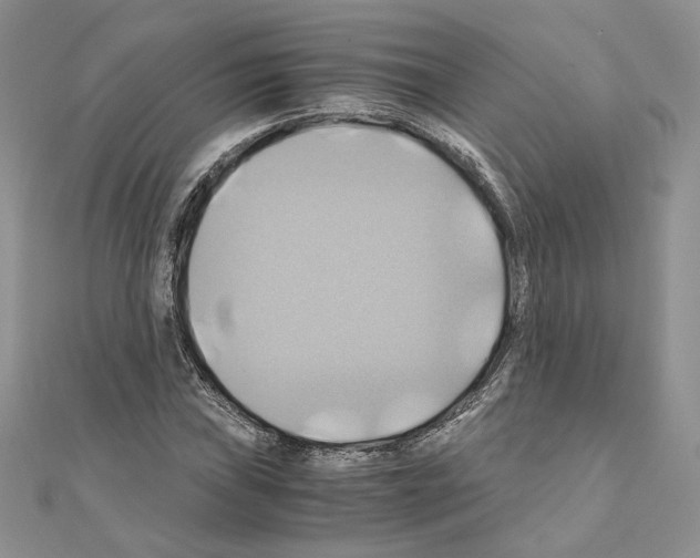 X0000110971019200907310925