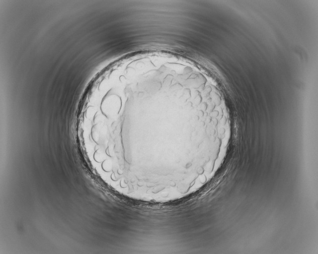 X0000110971020200907310925