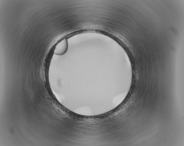 X0000110971022200907310925