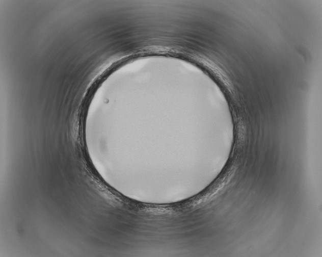 X0000110971023200907310925