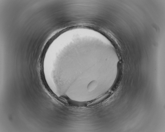 X0000110971024200907310925