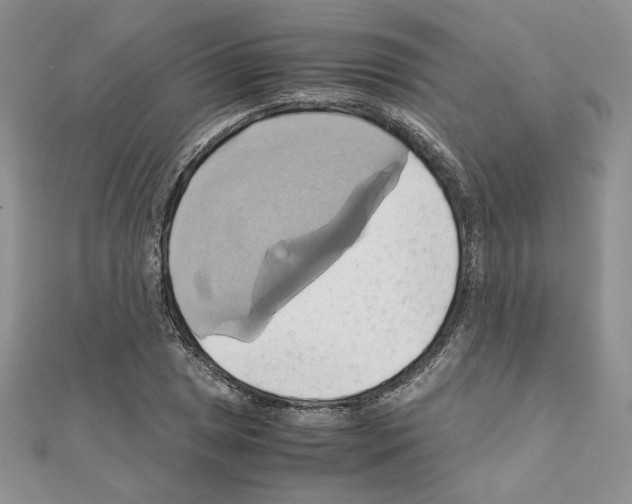 X0000110971025200907310925