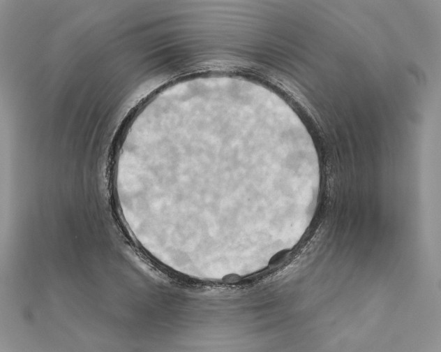 X0000110971026200907310925
