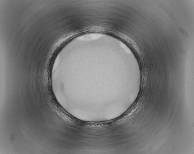 X0000110971027200907310925