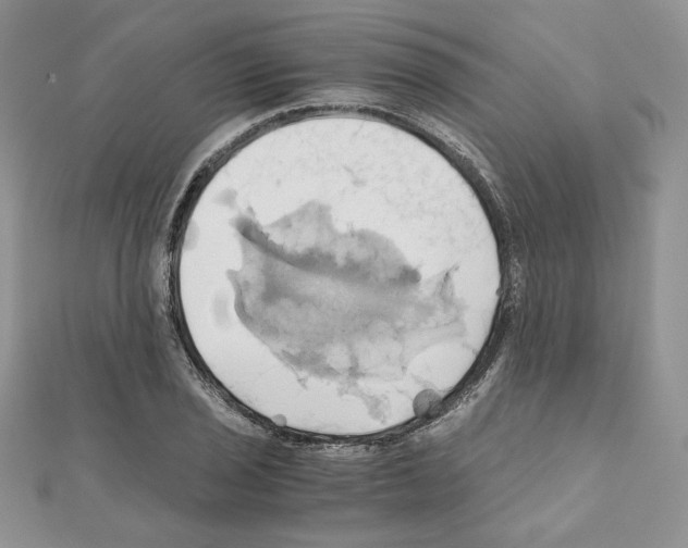 X0000110971029200907310925