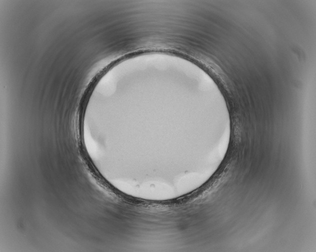 X0000110971030200907310925