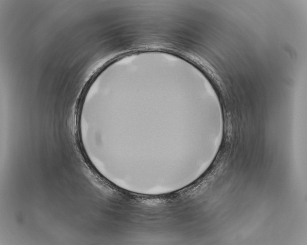 X0000110971031200907310925