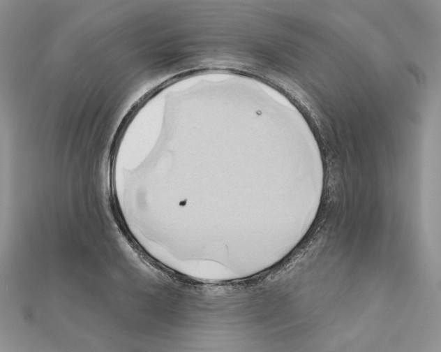 X0000110971032200907310925