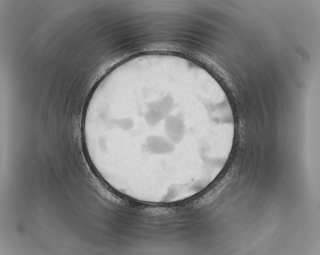 X0000110971033200907310925