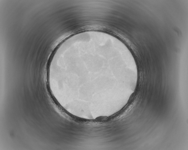 X0000110971034200907310925