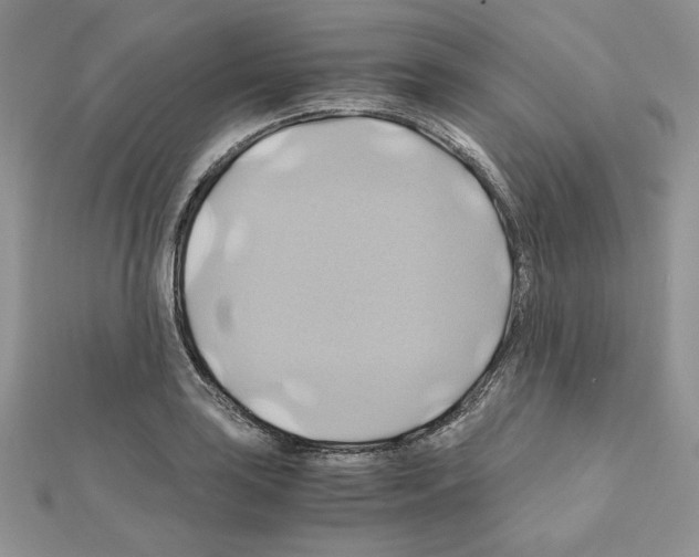X0000110971035200907310925